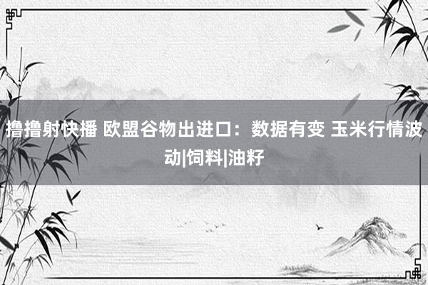 撸撸射快播 欧盟谷物出进口：数据有变 玉米行情波动|饲料|油籽