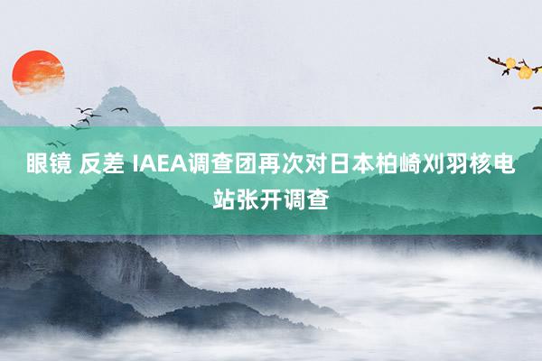 眼镜 反差 IAEA调查团再次对日本柏崎刈羽核电站张开调查